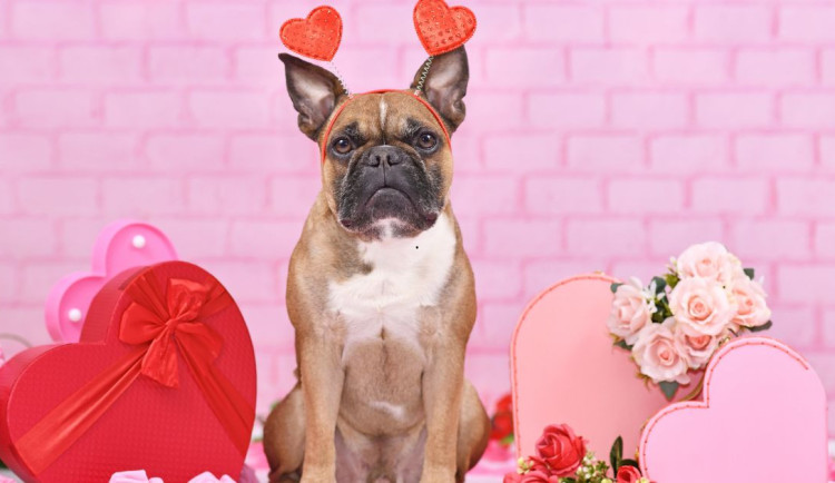 Tvrdíme, že Valentýn je americká hloupost, ale restaurace plníme do posledního stolu