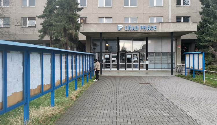 V Olomouckém kraji pracuje přes sedm tisíc uprchlíků z Ukrajiny, počet nezaměstnaných klesá