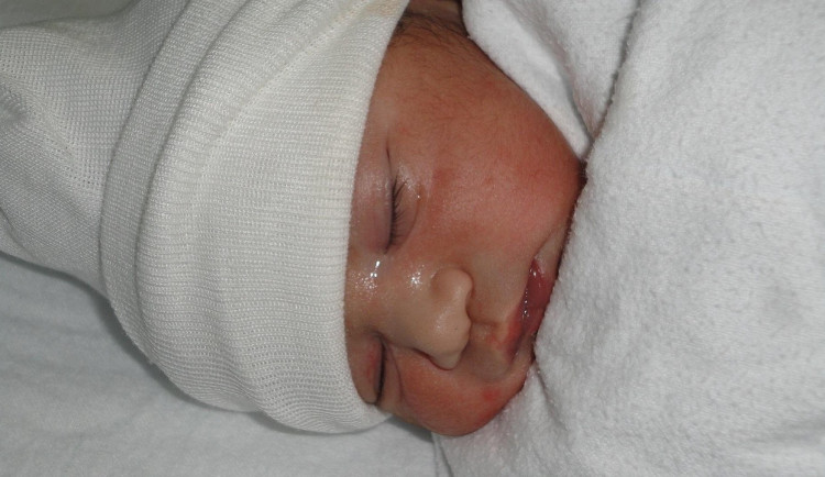 Nová aplikace z dílny plzeňských vědců má pomoci zvýšit bezpečnost porodů