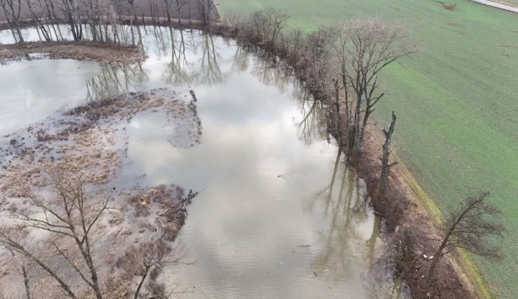 Mrtvé rameno Moravy ožilo, naplnila ho voda z tajícího sněhu. Chrání před povodněmi