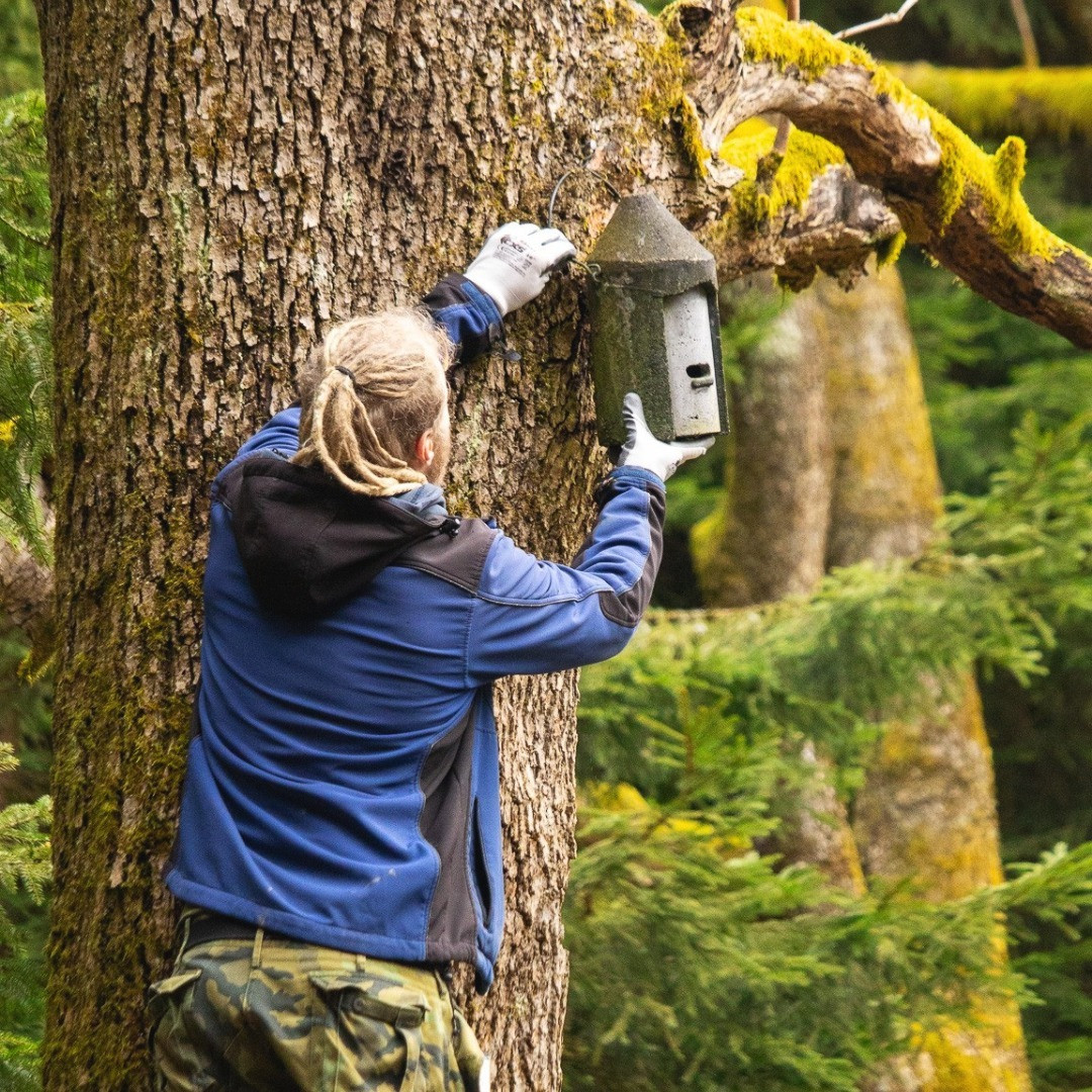 Dobrovolníci na Ještědu opravili desítky netopýřích a sovích budek