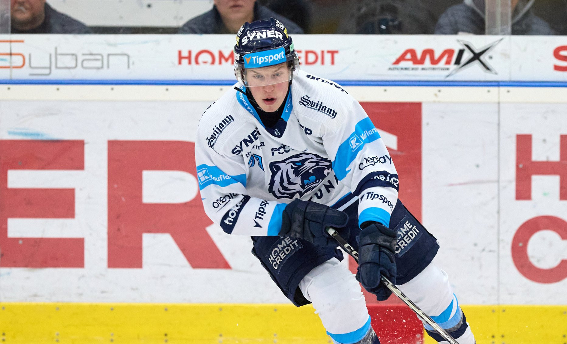 Věřím liberecké cestě, vysvětluje Tomáš Galvas prodloužení smlouvy s Tygry