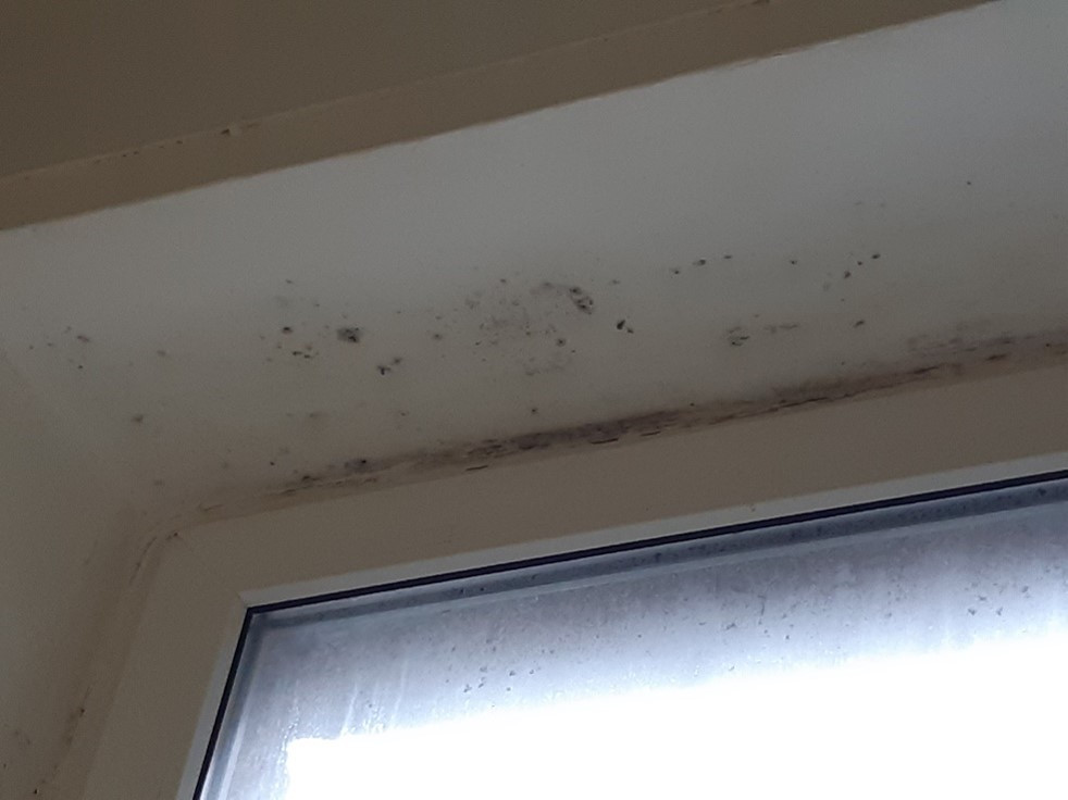 Hygienici zkontrolovali desítky školních jídelen v Praze, řešili i salmonelózu