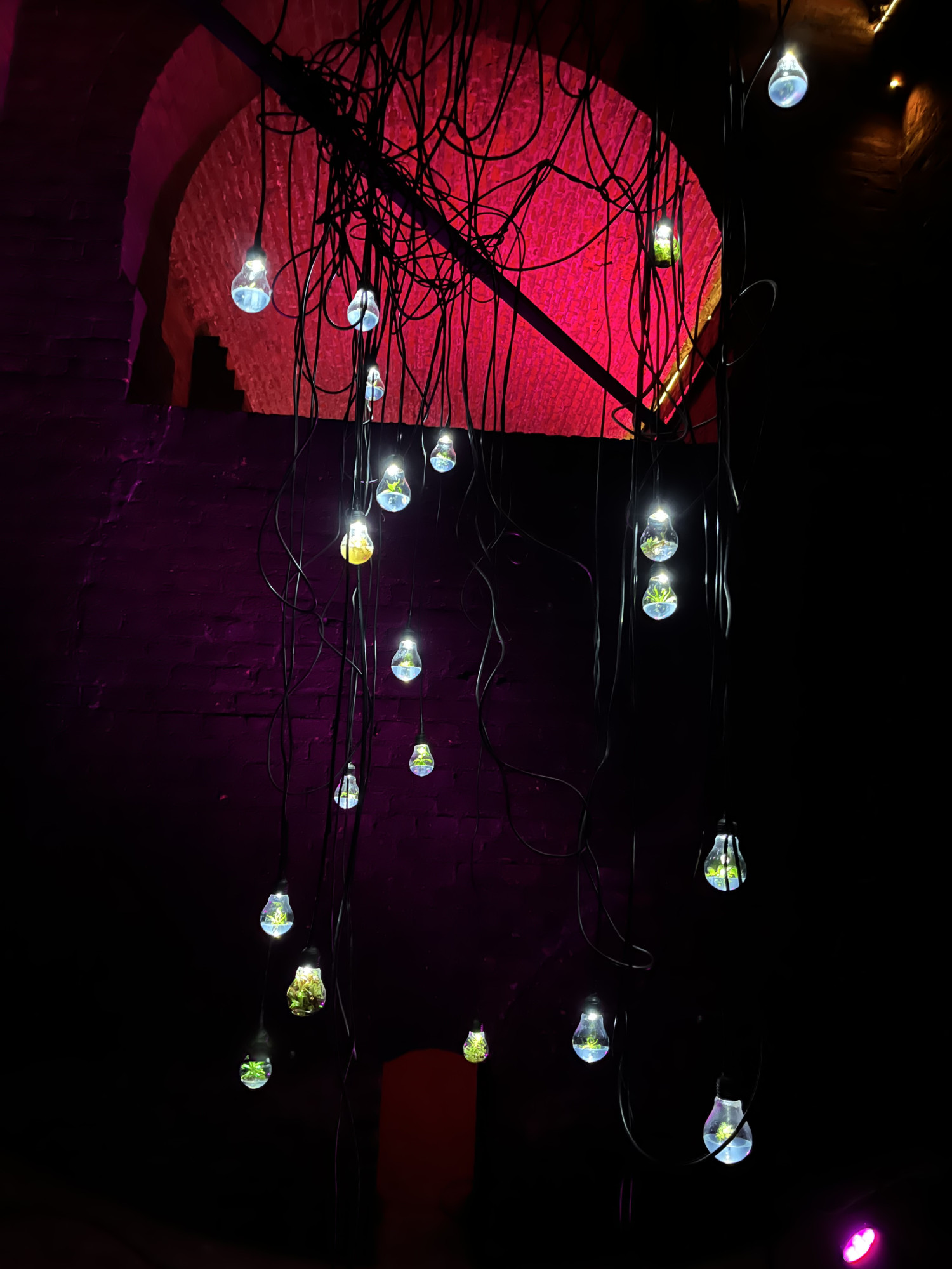 Festival Prototyp letos rozzáří ulice Brna, přesouvá se do centra metropole