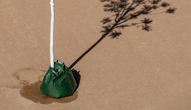 Jihlava chce šetřit pitnou vodu. Se zálivkou veřejné zeleně pomůže cisterna