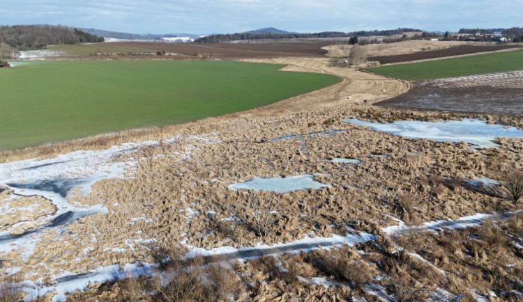 Mokřad vznikl v důsledku činnosti bobra. Území už se díky úpravám nebude rozšiřovat