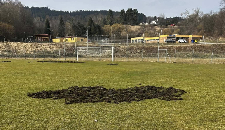 Fotbalové hřiště nebo oraniště? Pažit ve Větřní rozryla divoká prasata