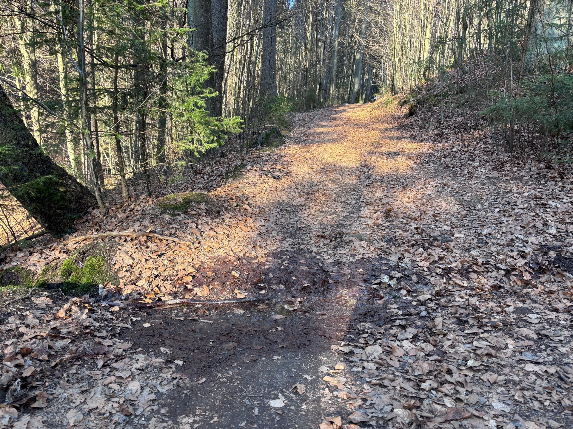 Jedna z cest, protkaná cestičkou způsobenou tekoucí vodou při přívalových deštích.