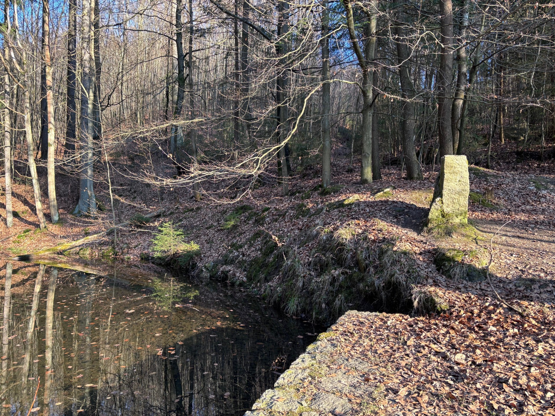 Retenční nádrž, ze které jde voda do Lesního koupaliště.