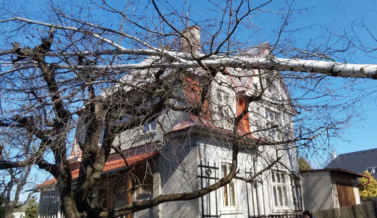 Silný vítr v Olomouckém kraji lámal stromy. Hasiči měli od rána už téměř padesát výjezdů