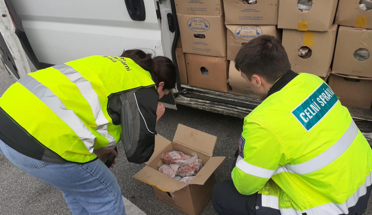 VIDEO: Celníci na Vysočině zadrželi tunu závadného masa. Pár kusů už mělo šedou barvu