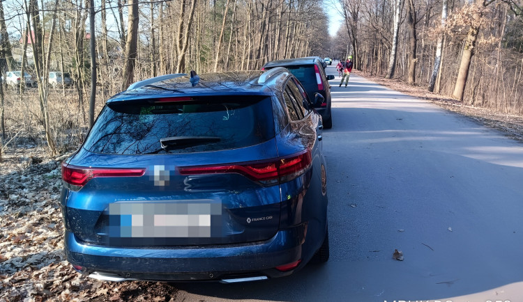 Hradec posílí autobusy do lesů, parkoviště se rozšiřovat nebude