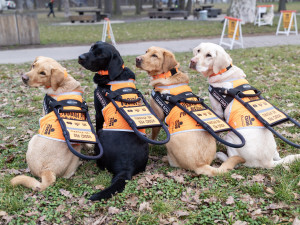 Běžecký seriál Běhej lesy přichází s novým charitativním i věrnostním konceptem