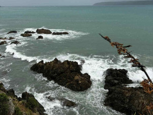 Český plavec a trenér z Aquapalace Praha Jakub Kačerovský pokořil Cookovu úžinu