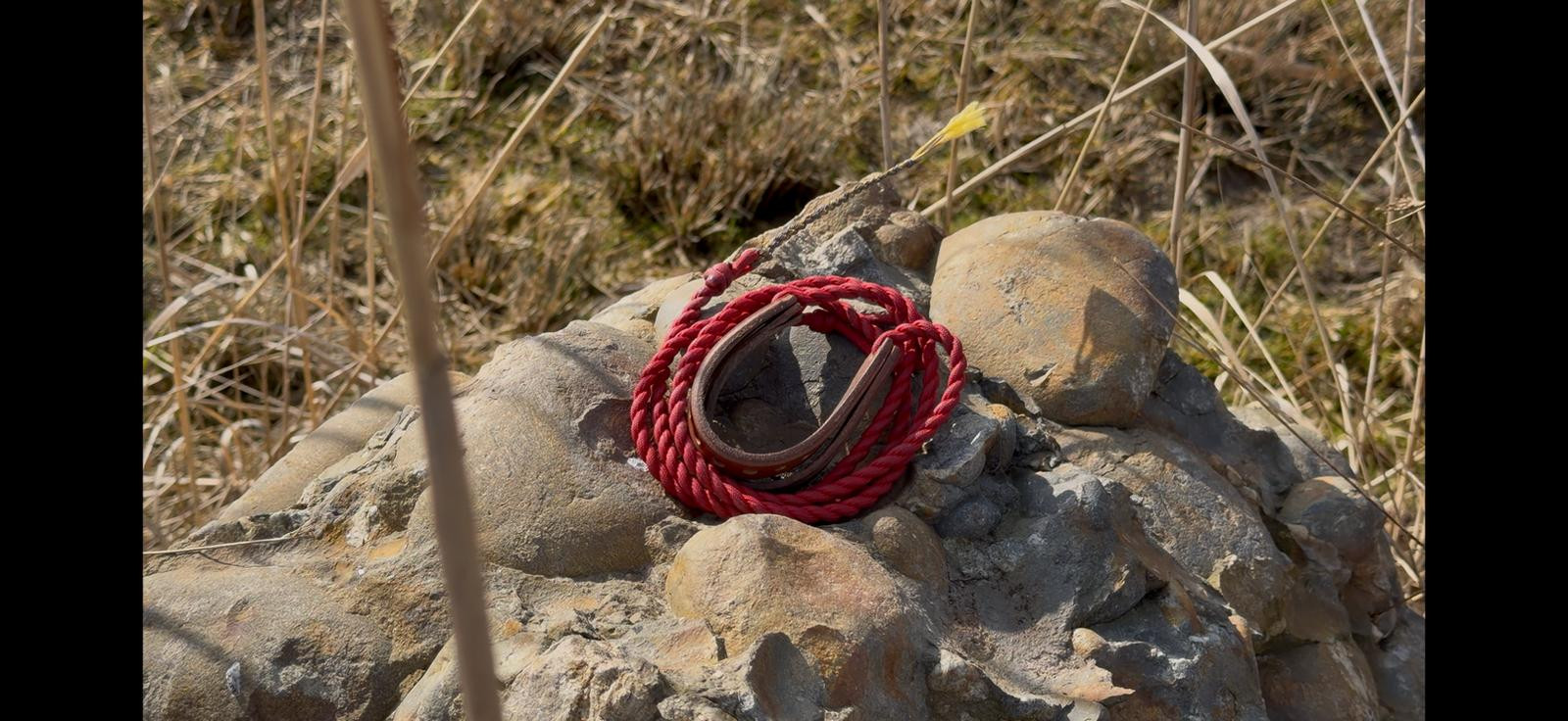 Prak je téměř zapomenutá lidská superschopnost i strašlivě smrtící zbraň, říká expert