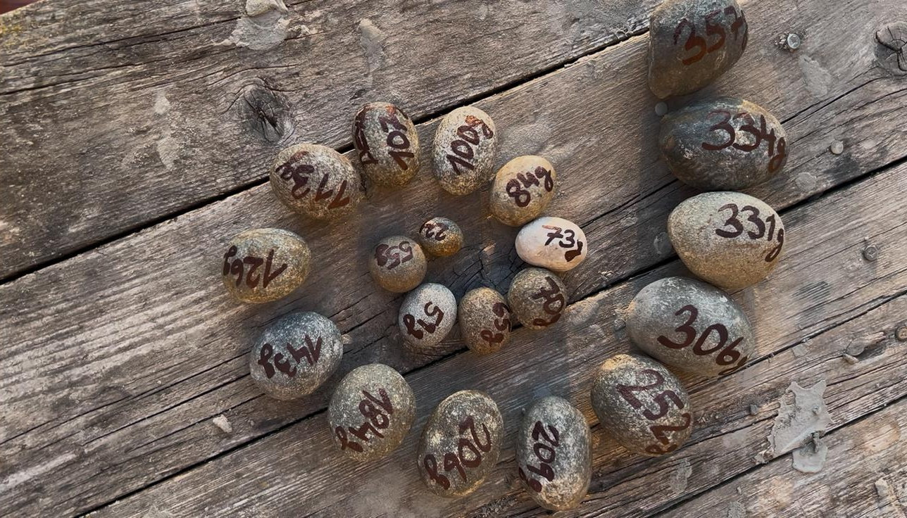 Prak je téměř zapomenutá lidská superschopnost i strašlivě smrtící zbraň, říká expert