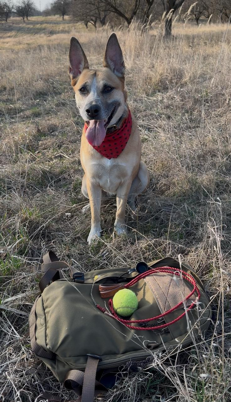 Prak je téměř zapomenutá lidská superschopnost i strašlivě smrtící zbraň, říká expert
