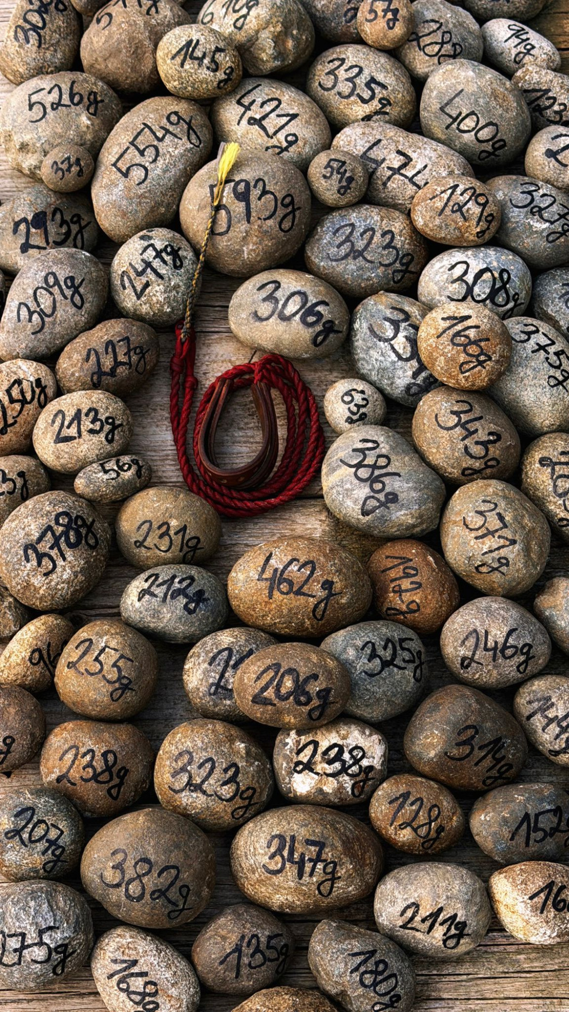 Prak je téměř zapomenutá lidská superschopnost i strašlivě smrtící zbraň, říká expert