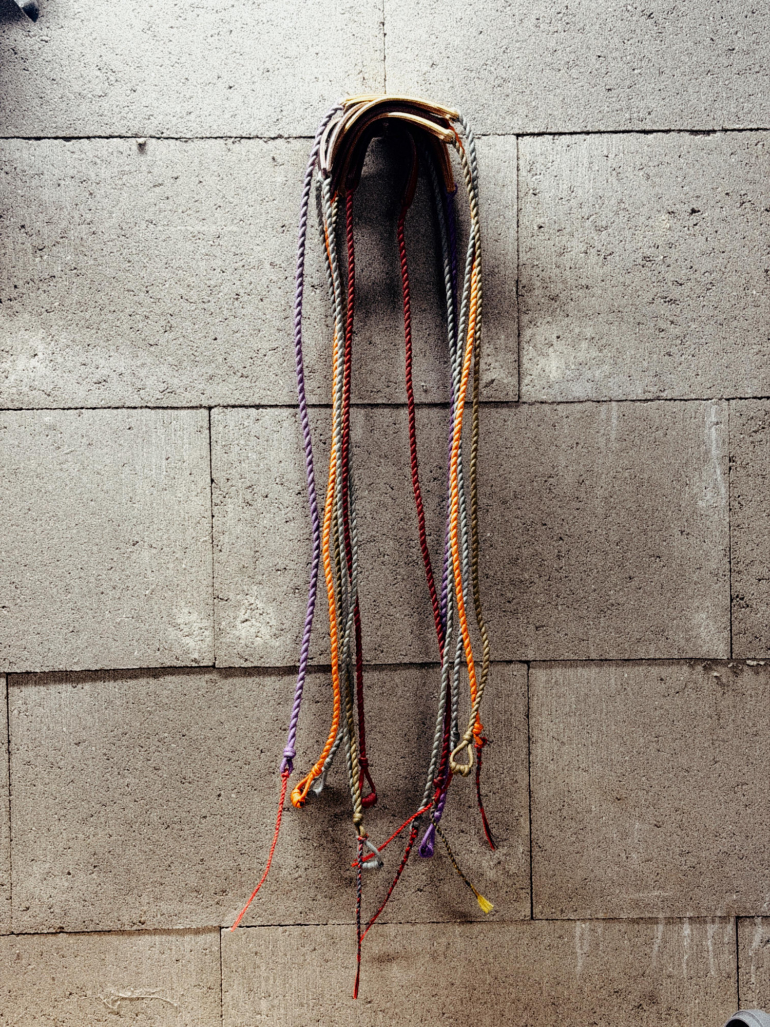 Prak je téměř zapomenutá lidská superschopnost i strašlivá zbraň, říká expert