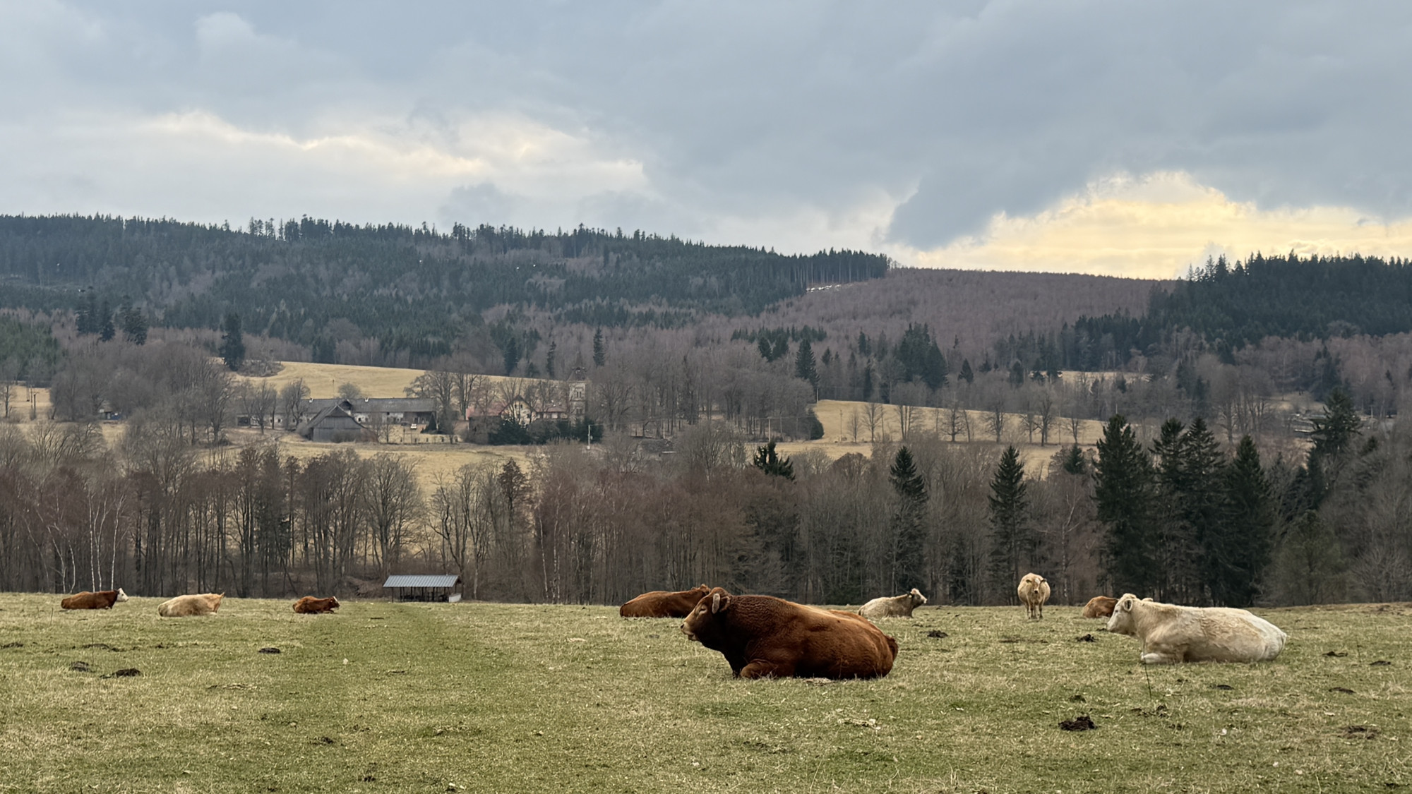Zapomenutý kout Šumavy láká na zříceninu vápenky, odlehlé osady i skvělý oběd
