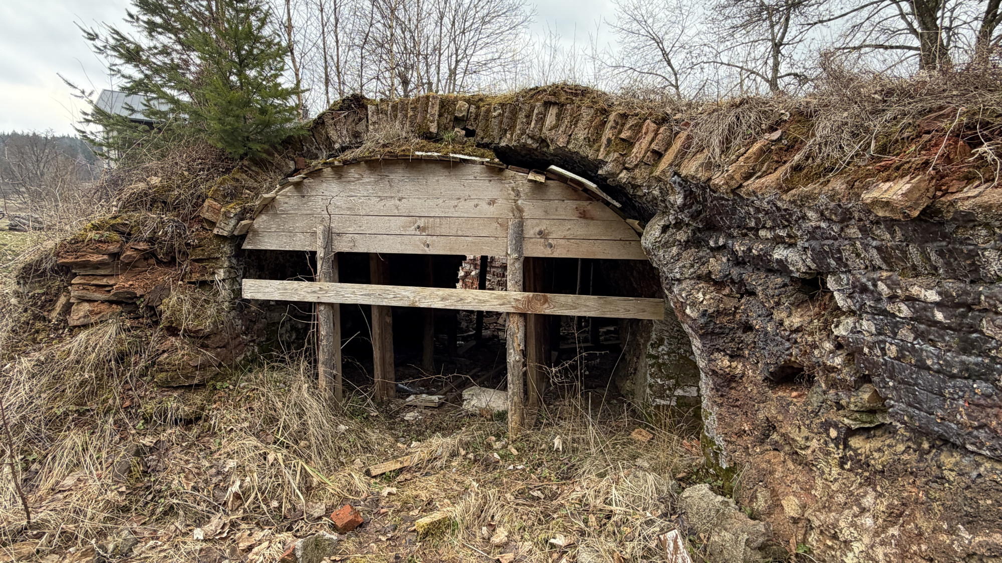 Zřícenina staré vápenky