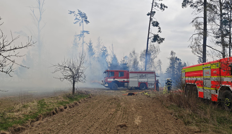 FOTO: Požár u Brzkova zaměstnává deset jednotek hasičů