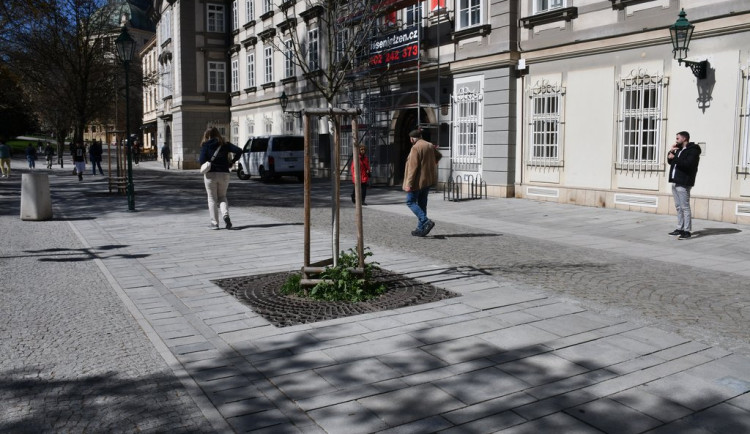 Po nejrušnější pěší zóně v historickém centru se dá konečně znovu chodit