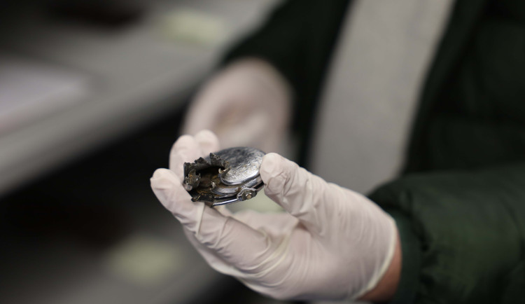 Předměty spojené s oběťmi srebrenického masakru zkoumali archeologové z Plzně