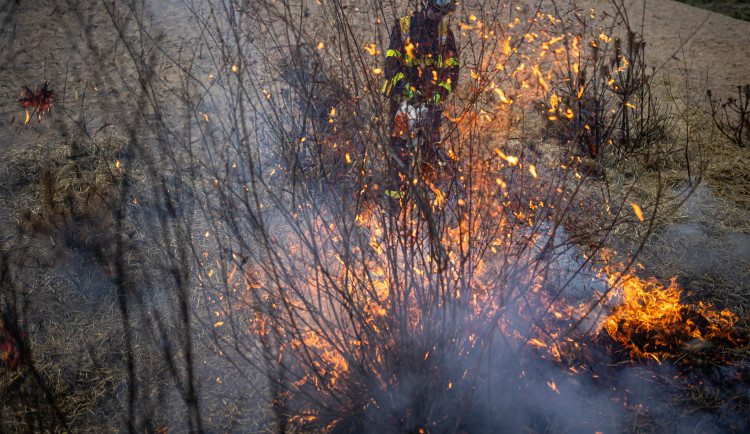 Požár v hradeckých lesích? Jde jen o cvičení hasičů