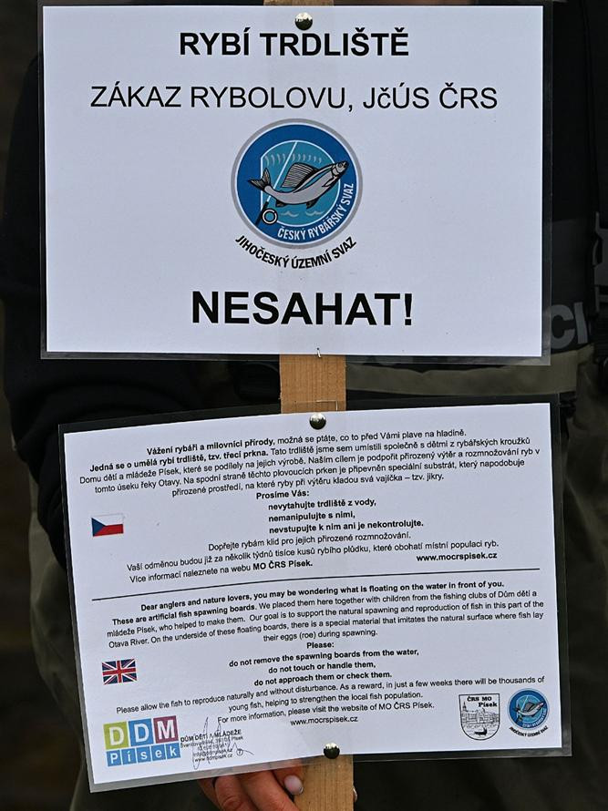 Kormoráni vzali Otavu útokem. Písek řeší úbytek ryb plovoucím trdlištěm