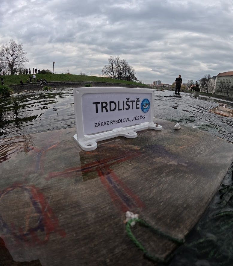 Kormoráni vzali Otavu útokem. Písek řeší úbytek ryb plovoucím trdlištěm