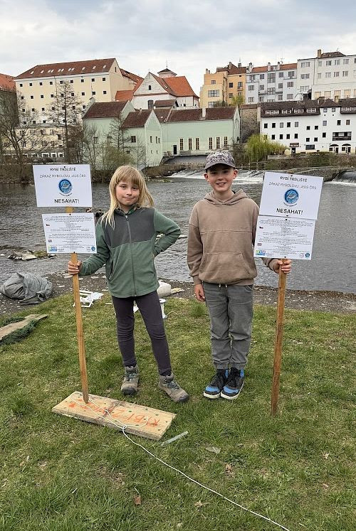 Kormoráni vzali Otavu útokem. Písek řeší úbytek ryb plovoucím trdlištěm