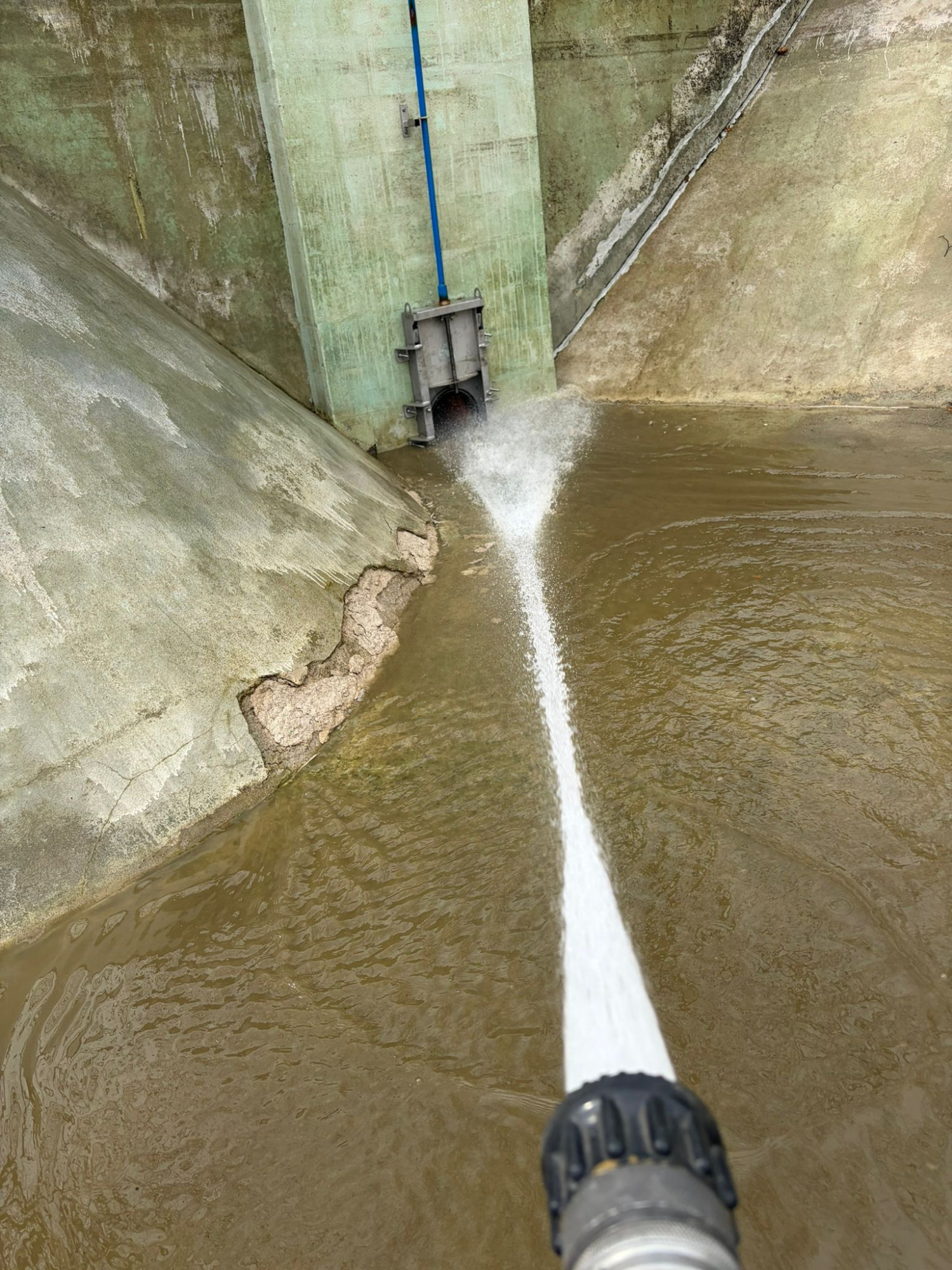 Největší přírodní koupaliště v kraji a druhé největší v ČR prochází očistou