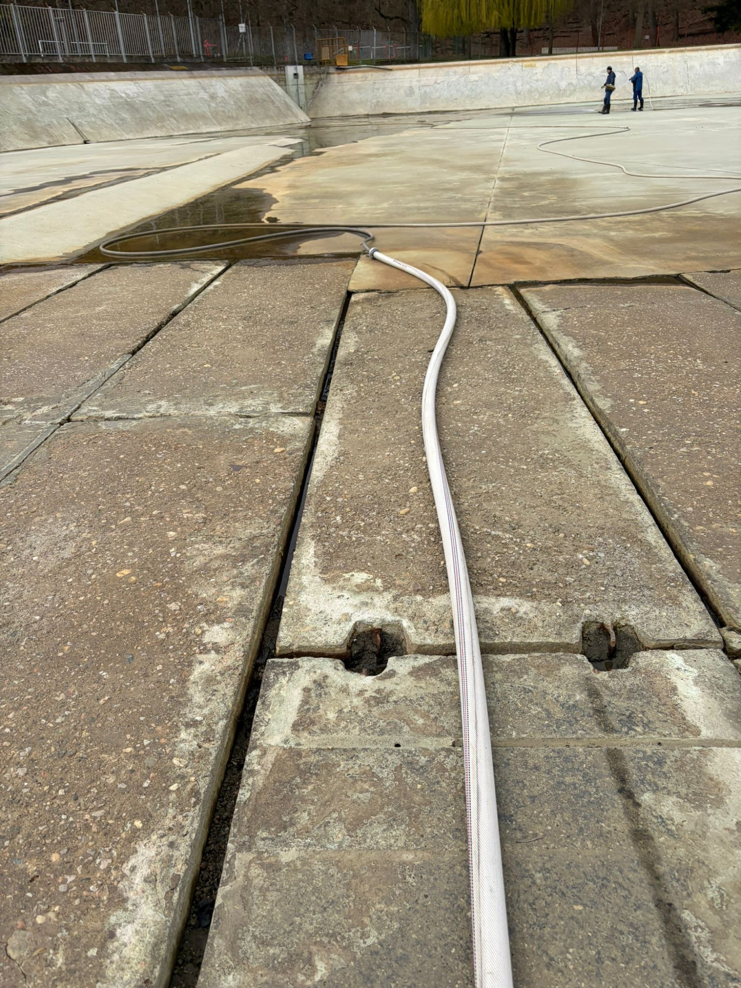 Největší přírodní koupaliště v kraji a druhé největší v ČR prochází očistou