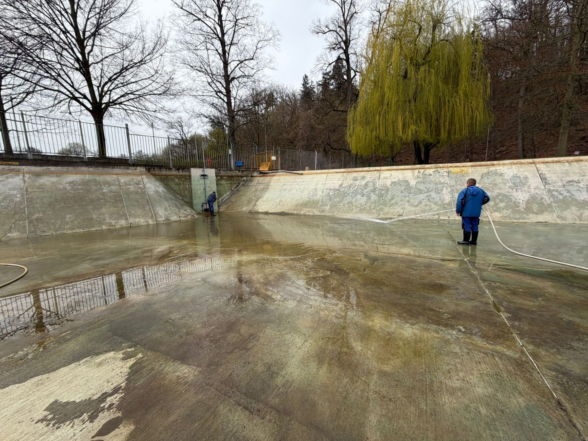 Největší přírodní koupaliště v kraji a druhé největší v ČR prochází očistou