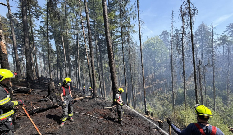 S požárem v Českém Švýcarsku bojují i hasiči z Prahy. Většina je z dobrovolných jednotek