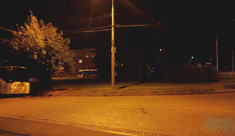 Ze stromů u zastávky MHD se každou noc ozývá žalostné volání, které znepokojuje lidi