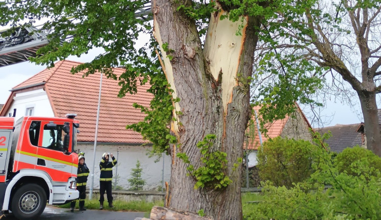Blesk na Strakonicku rozštípl strom, hasiči ho museli pokácet