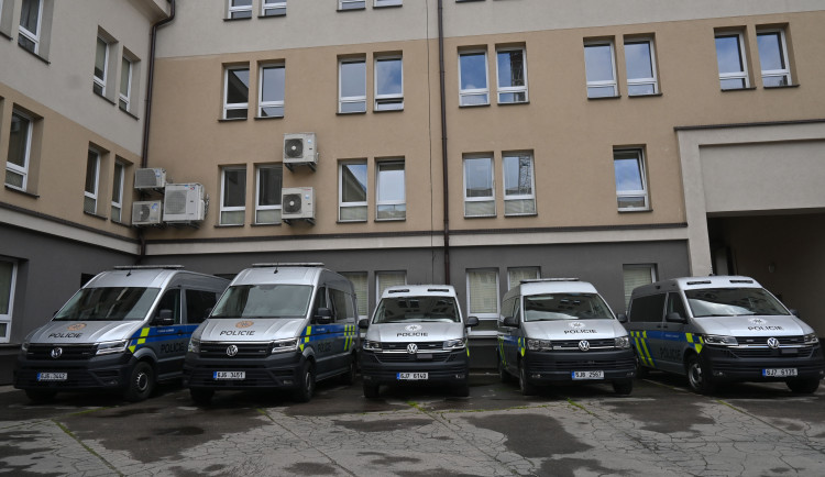 Dvanáctiletá školačka z Karlovarska porodila dítě, její bratr ji údajně znásilnil
