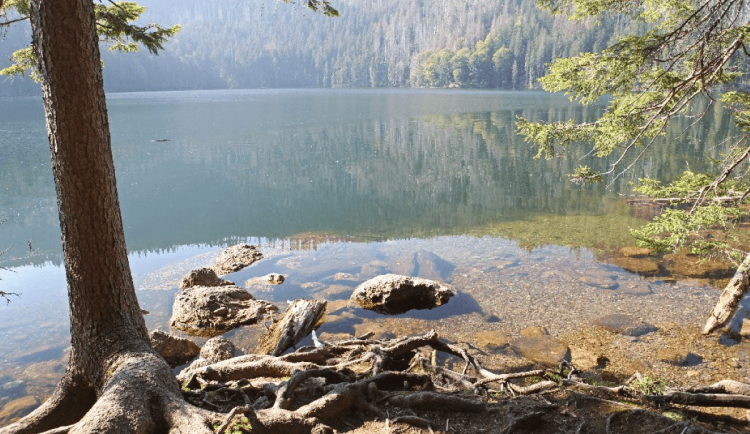 Za porušení zákazu koupání v ledovcových jezerech v NP Šumava hrozí pokuta