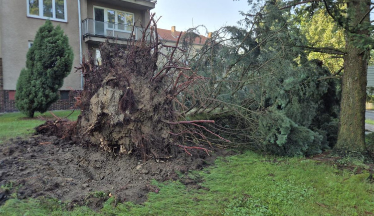Vyvrácená stromořadí a poničené silnice. V Písku řeší následky víkendových bouří