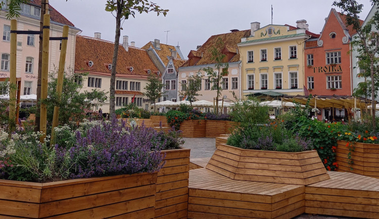POLITICKÁ KORIDA: Proč nejsou na náměstí v Olomouci mlžítka nebo stromy? Jak přežít vedra?