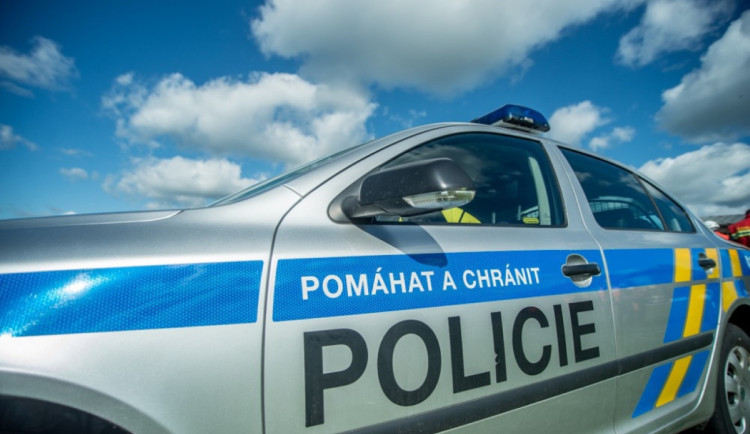 Dívku chtěl v poledne v parku znásilnit nebezpečný recidivista. Zasáhl odvážný muž