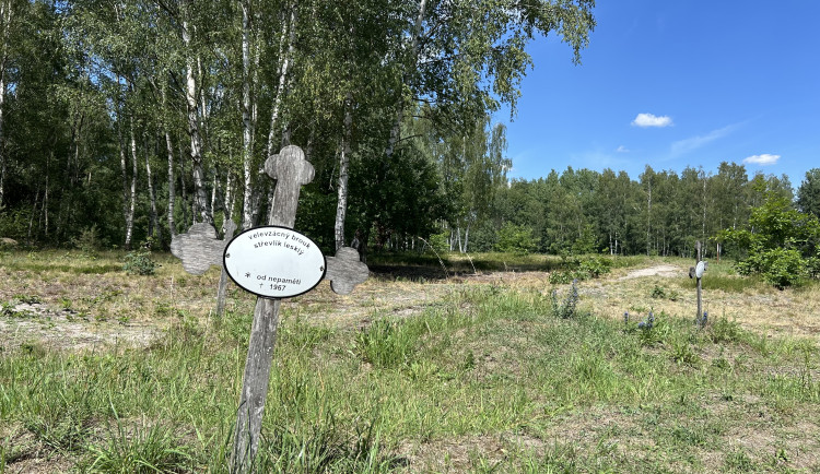 Přírodní památce Na Plachtě hrozí zánik. Stát letos zastavil klíčové dotace na její údržbu