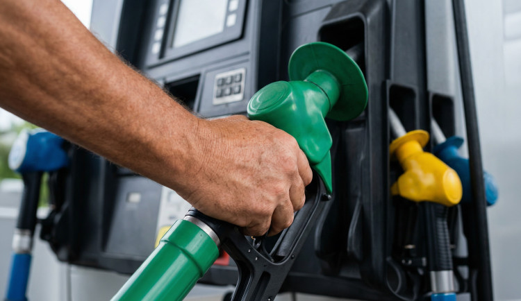 Většina pump na D5 z Plzně k SRN po konci vládní regulace zdražila, víc naftu