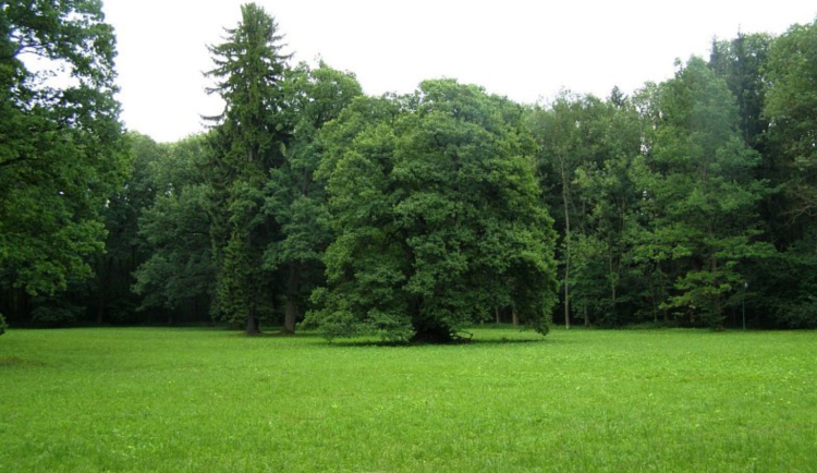 Lázně Bělohrad plánují stavět domy a byty. Proti záměru vznikla petice