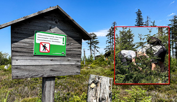 Hádka o borůvky skončila rvačkou. Sběrači zmlátili cyklisty kýblem