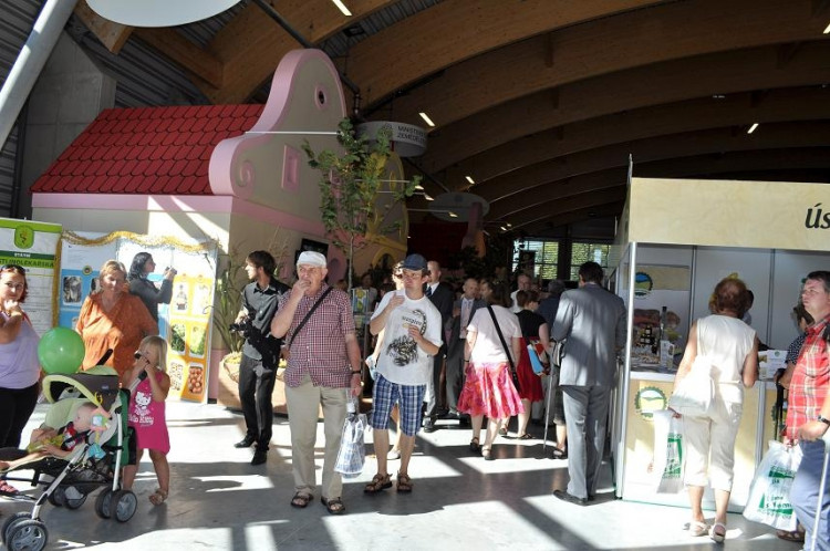 ZŽ Pavilon T interiér