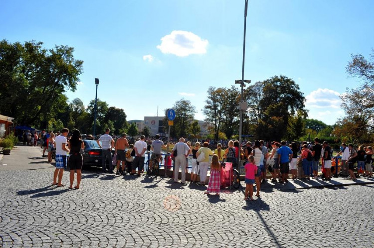 Vodní hry na Malši