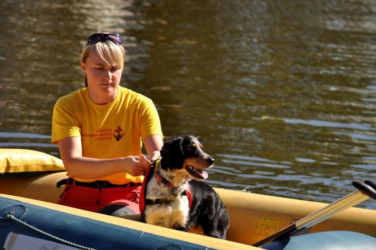 Vodní hry na Malši